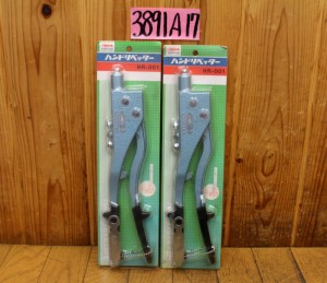 3891A17aa1