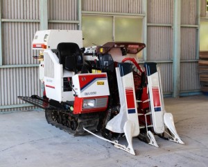 5262S18a1